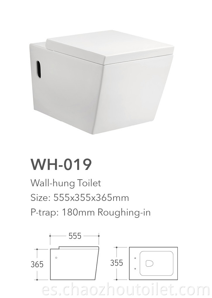 Wh 019 Wall Hung Toilet